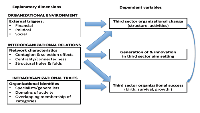 Conceptual framework graphic