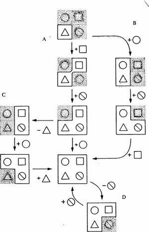 Development of a system from a morphogenetic germ (triangle) by the normal chreode